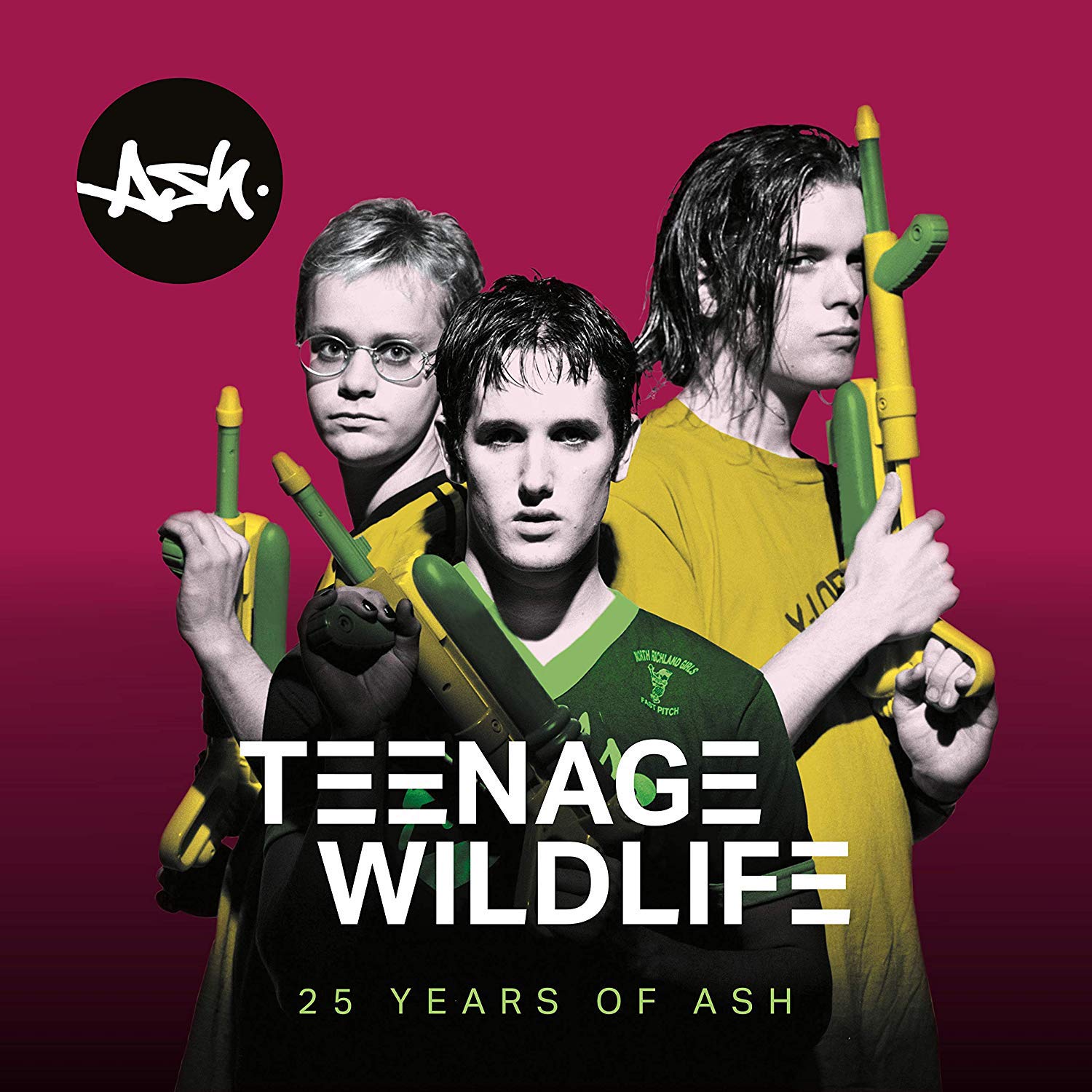 Teenage Wildlife : 25 Years Of Ash