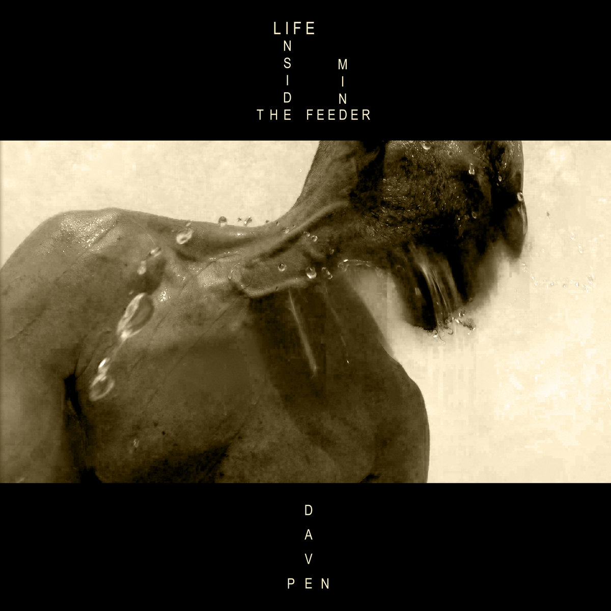 Life Inside The Feeder Mind