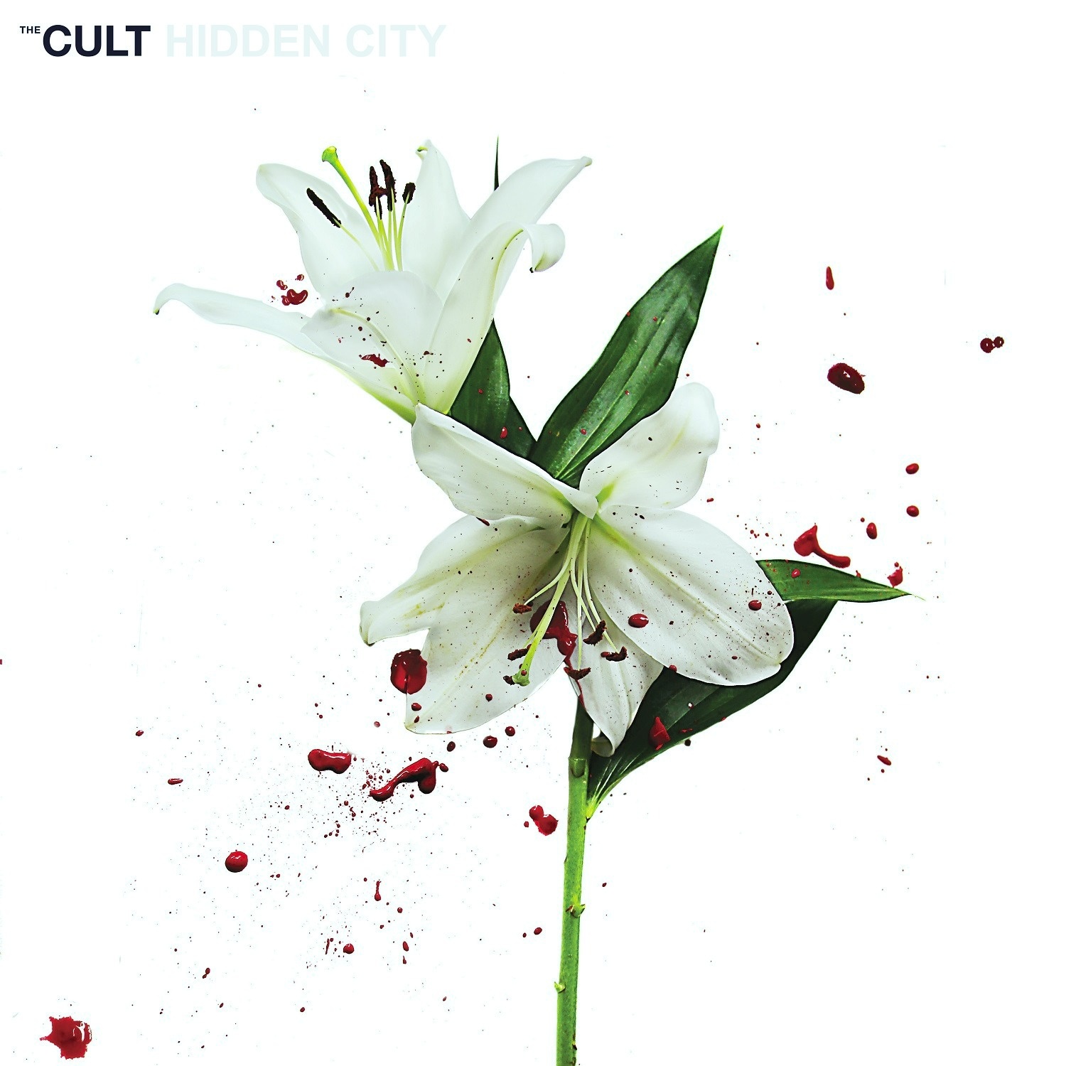 Hidden City
