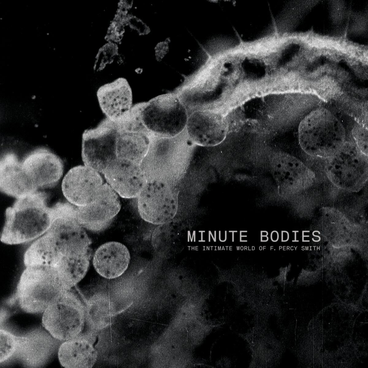 Minute Bodies : The Intimate World Of F. Percy Smith OST