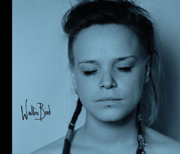 Wallis Bird