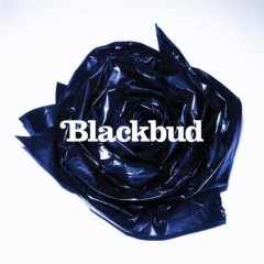 Blackbud