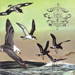 Flotation Toy Warning