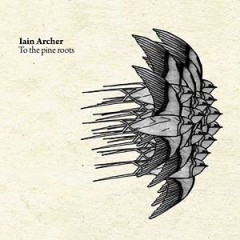 Iain Archer