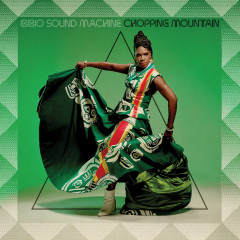 Ibibio Sound Machine