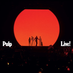 Pulp