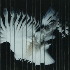 SCALER - Endlessly