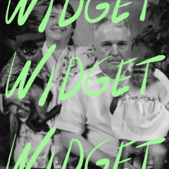 WIDGET