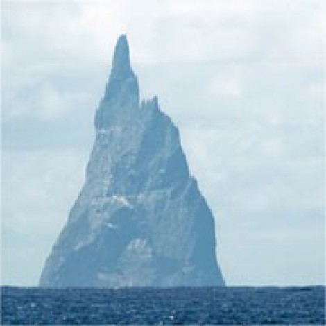 alt-J - Matilda/Fitzpleasure