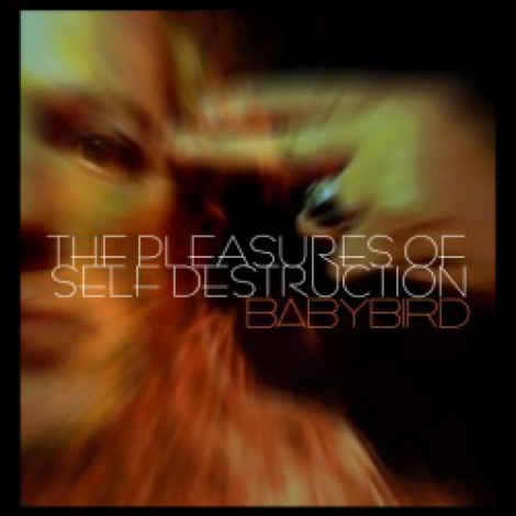 Babybird - The Pleasures Of Self Destruction