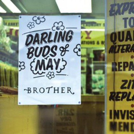 Viva Brother - Darling Buds Of May