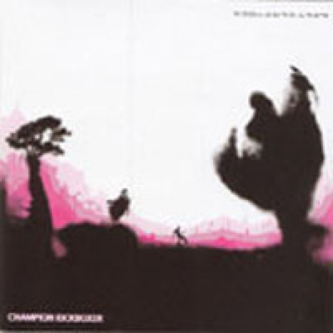 Champion Kickboxer - Perforations