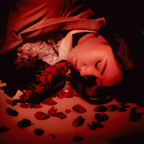 Coming Up Roses - How Did We Fall So Far?