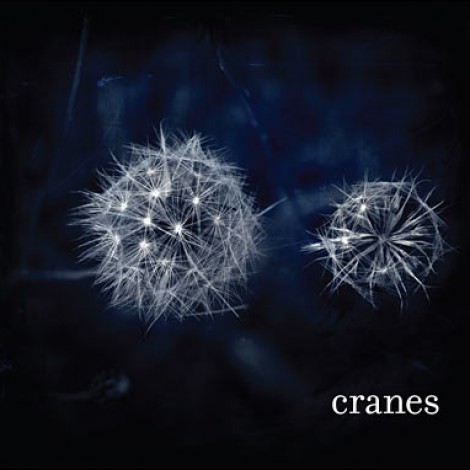Cranes - Cranes