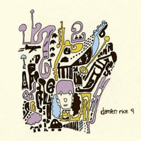 Damien Rice - 9