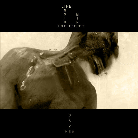 Dave Pen - Life Inside The Feeder Mind