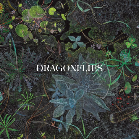 Dragonflies - Dragonflies