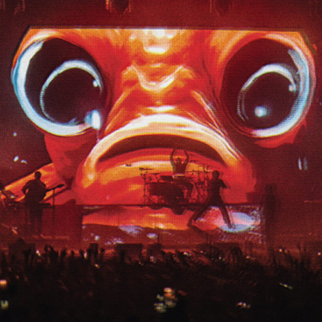 Enter Shikari - Live At Wembley