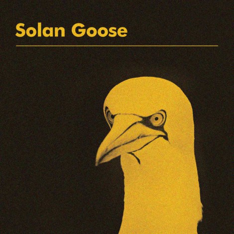 Erland Cooper - Solan Goose