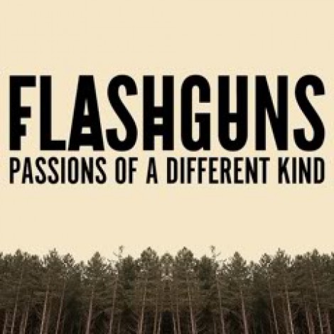 Flashguns - Passions Of A Different Kind