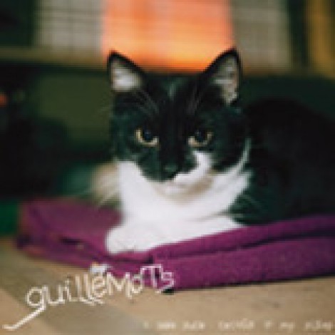 Guillemots - I Saw Such Things In My Sleep EP