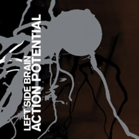 Left Side Brain - Action Potential