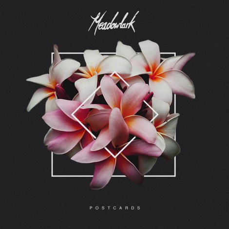 Meadowlark - Postcards