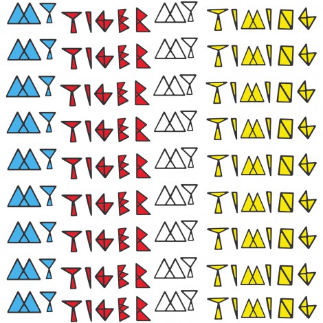 My Tiger My Timing - This Is Not The Fire