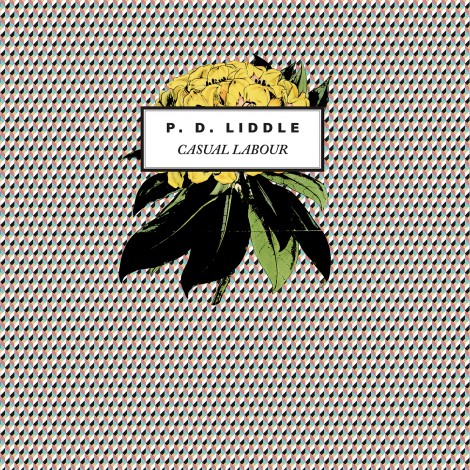 PD Liddle - Casual Labour