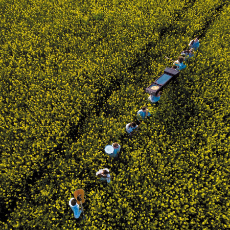 Pavey Ark - More Time, More Speed