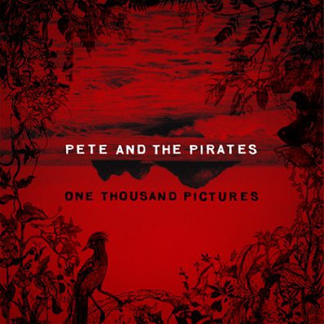 Pete And The Pirates - One Thousand Pictures