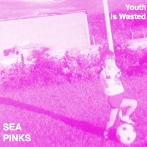 Sea Pinks - Youth Is Wasted