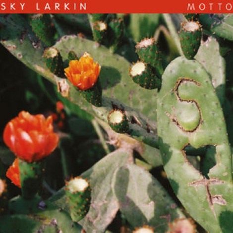 Sky Larkin - Motto