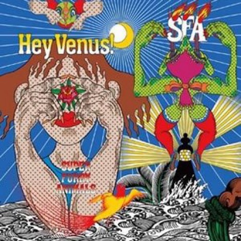 Super Furry Animals - Hey Venus!