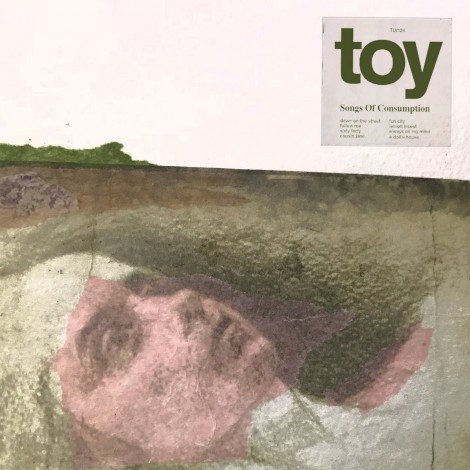 TOY - Songs Of Consumption