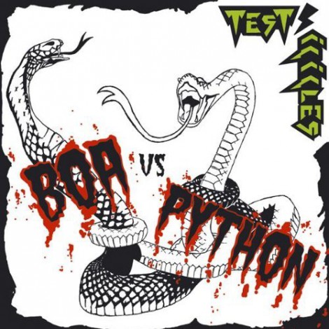 Test-Icicles - Boa Vs Python