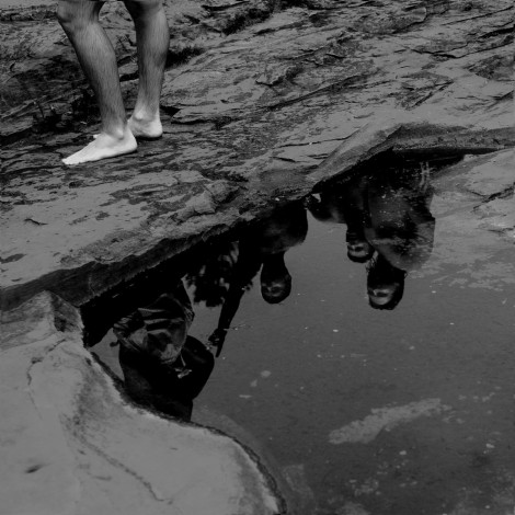 The Last Dinosaur - Wholeness