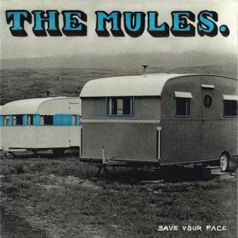 The Mules - Save Your Face
