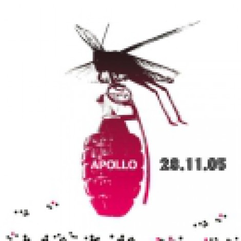 The Sound Ex - Apollo
