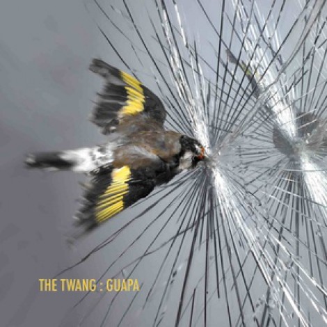 The Twang - Guapa EP