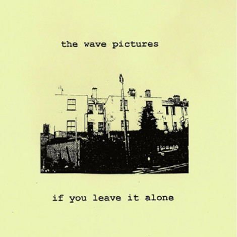 The Wave Pictures - If You Leave It Alone