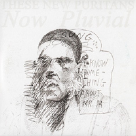 These New Puritans - Now Pluvial