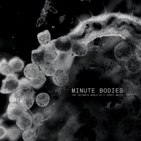 Tindersticks - Minute Bodies : The Intimate World Of F. Percy Smith OST