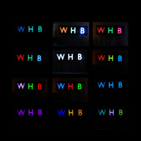 We Have Band - The Woods