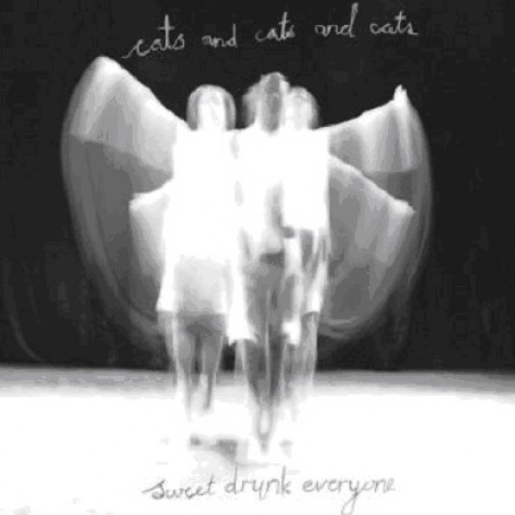 Cats And Cats And Cats - Sweet Drunk Everyone