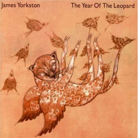 James Yorkston - The Year Of Leopard