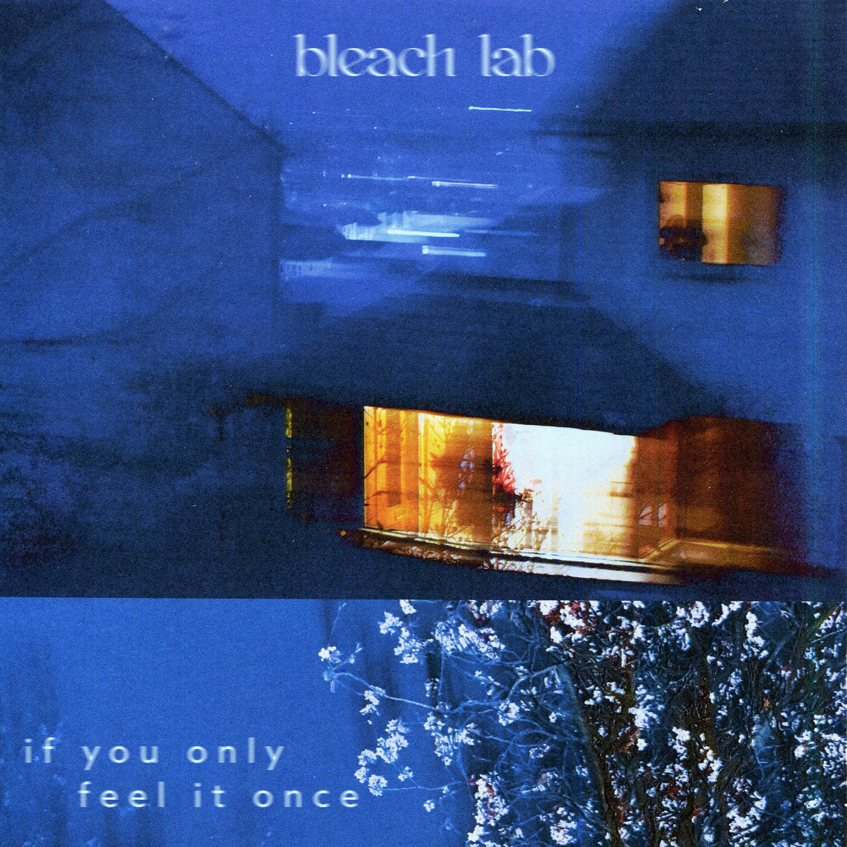 Bleach Lab - If You Only Feel It Once EP
