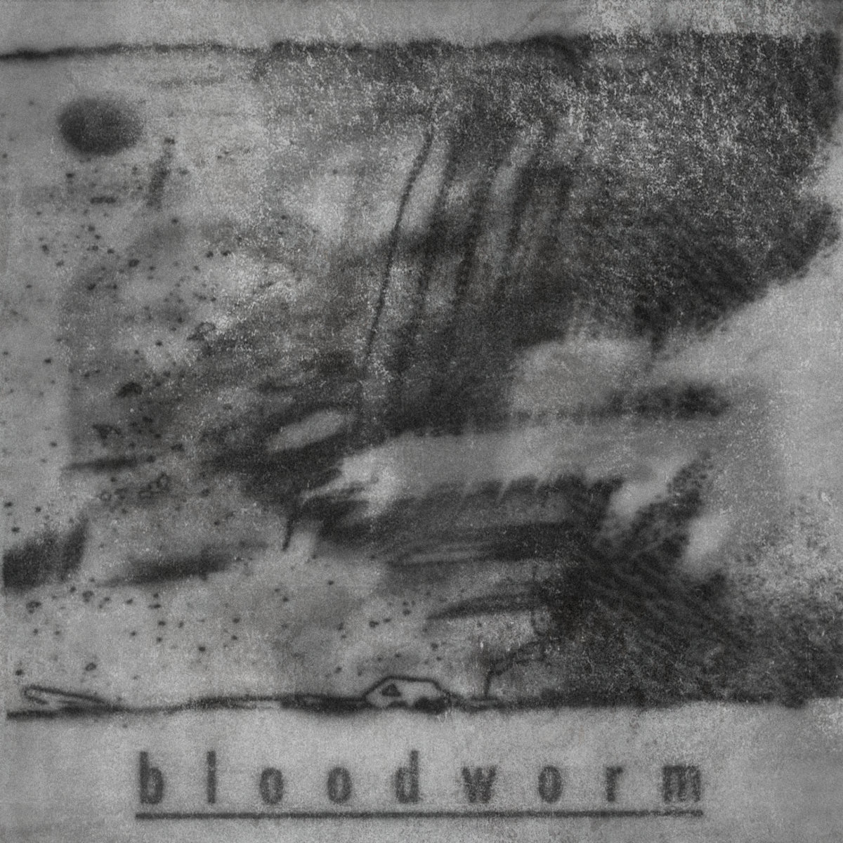 Bloodworm