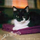 Guillemots - I Saw Such Things In My Sleep EP