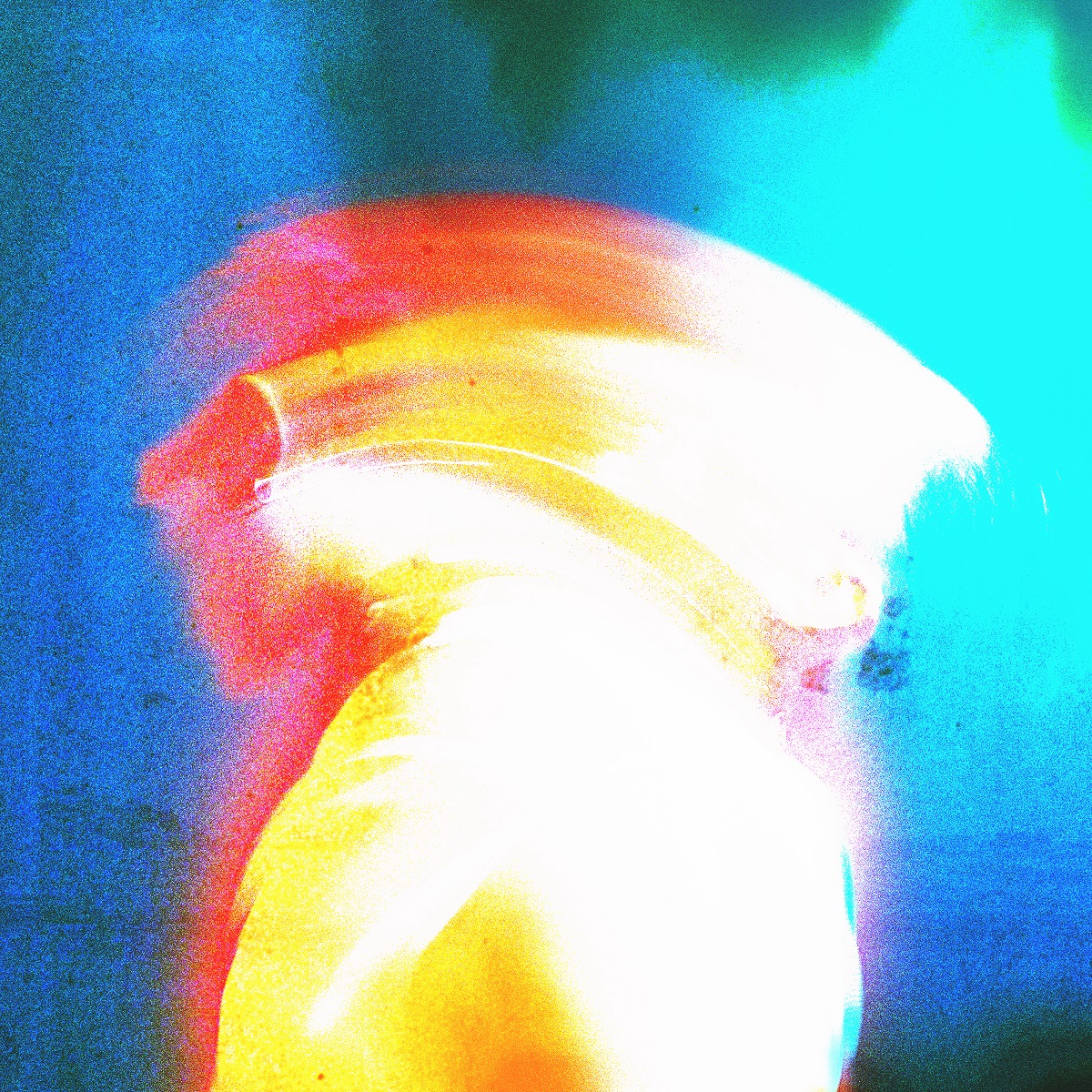 Hongza - Coming Of Age EP